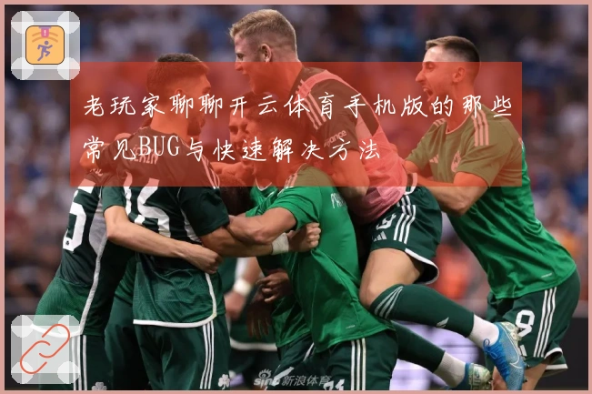 老玩家聊聊开云体育手机版的那些常见BUG与快速解决方法